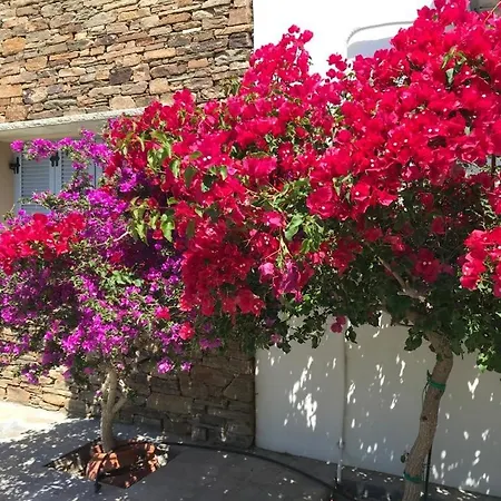 Oikia Petra Агиос-Иоаннис